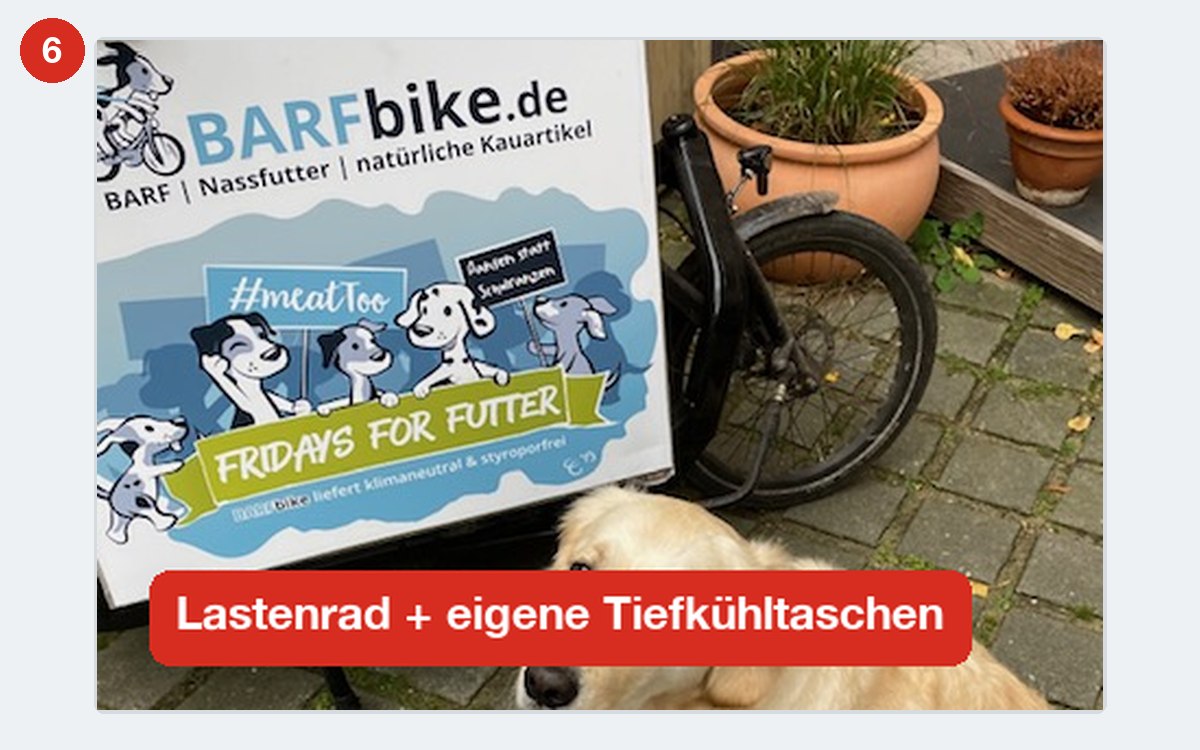 BARFbike Lastenrad mit Tiefkühlbox bei der BARF-Lieferung in Berlin