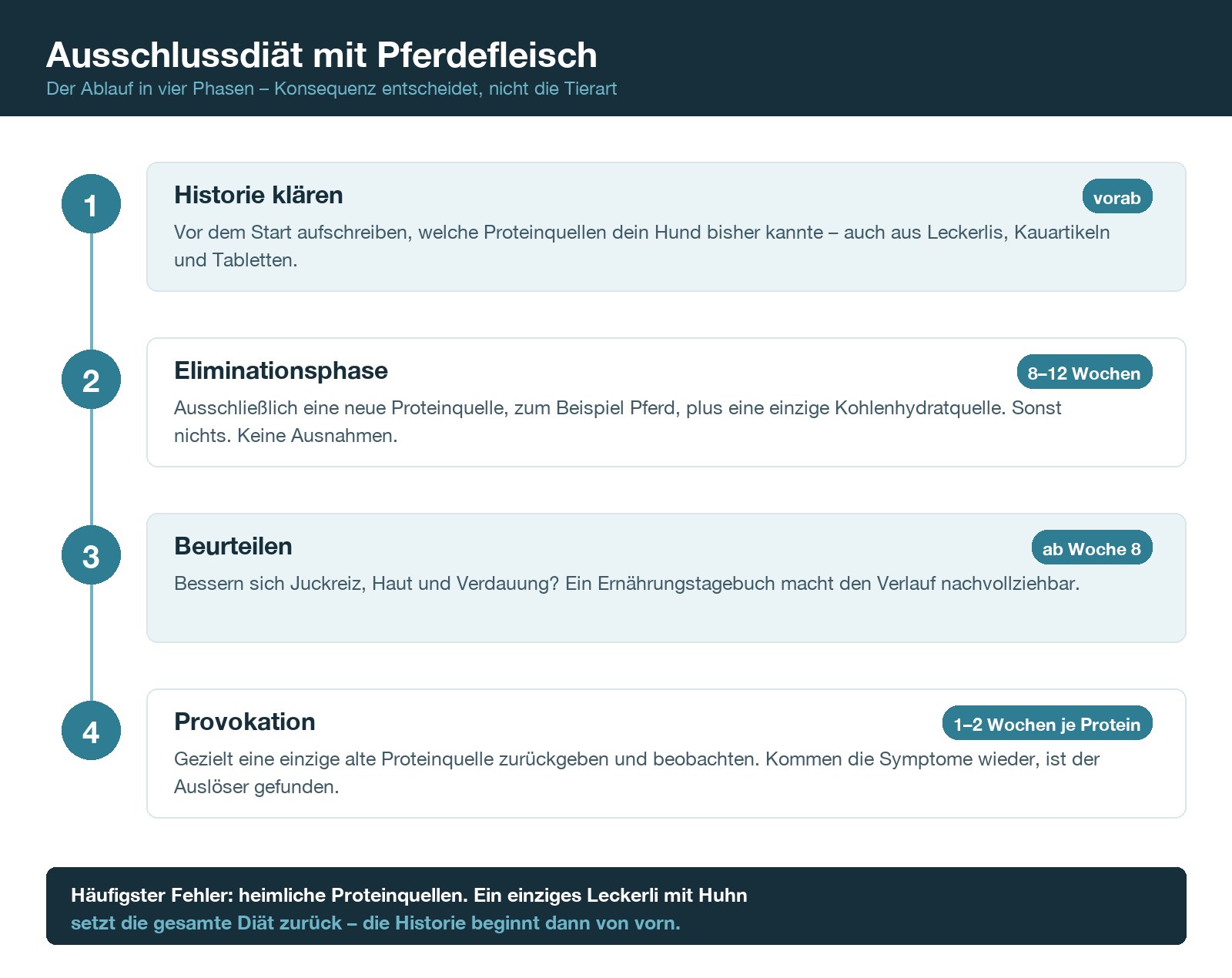 Ablaufschema der Ausschlussdiät beim Hund in vier Phasen mit Zeitangaben