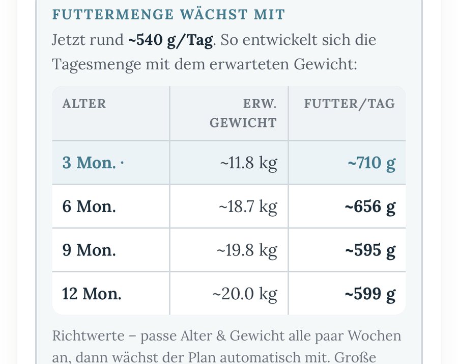 Tabelle im BARF-Rechner: wie sich die Tagesfuttermenge des Welpen mit dem erwarteten Gewicht über die Monate entwickelt