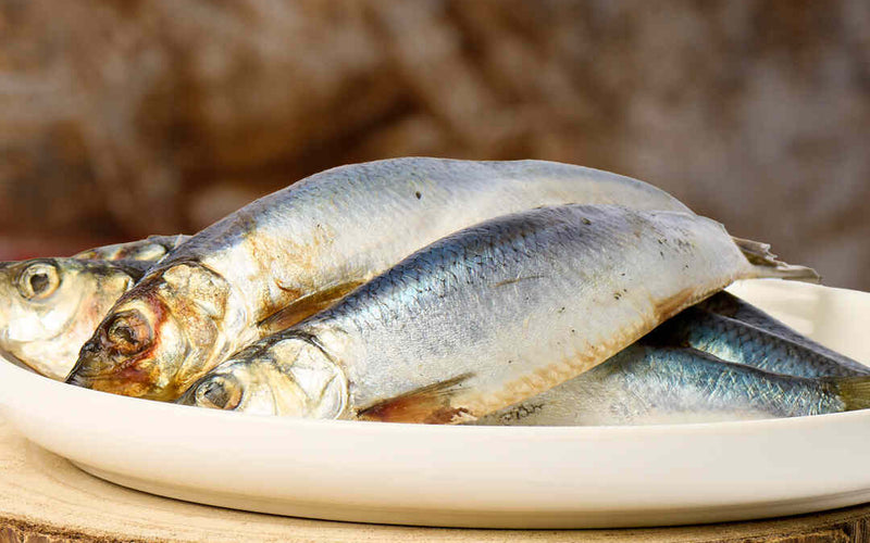 Heringe ganze Fische 1kg