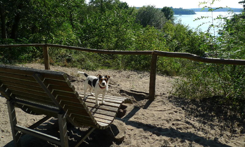 Hundeauslauf Pichelswerder: Plateau mit Bank und Aussicht über die Havel in Spandau