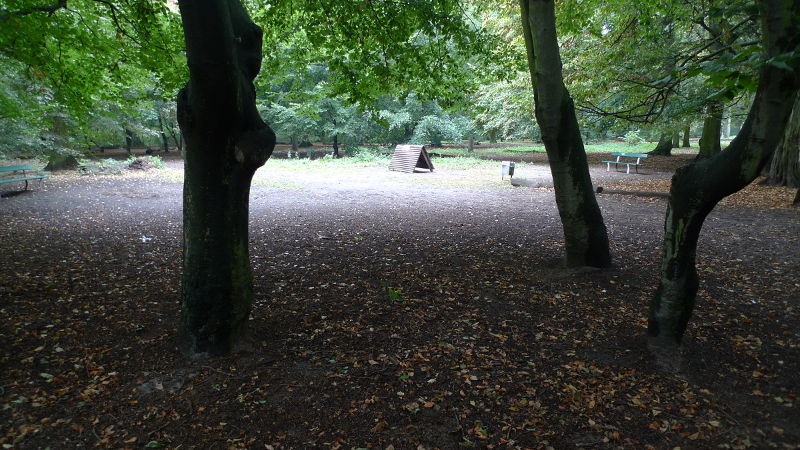 Eingezäunte Hundewiese im Jungfernheidepark in Berlin